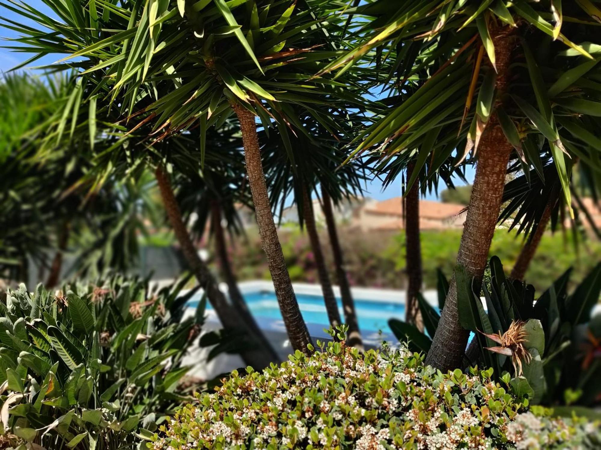 Pool Seaside Relais - Ville Ninfea, Marea, Rosa E Cassiopea Фонтане Бианче Екстериор снимка